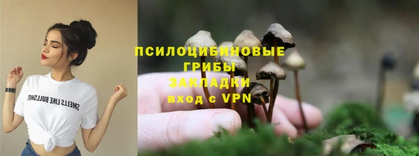 ECSTASY Абаза