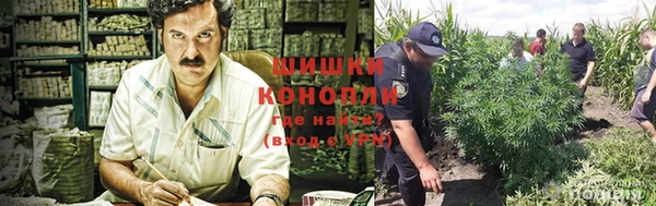 ECSTASY Абаза