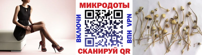 закладки Мамадыш Галлюциногенные грибы мицелий